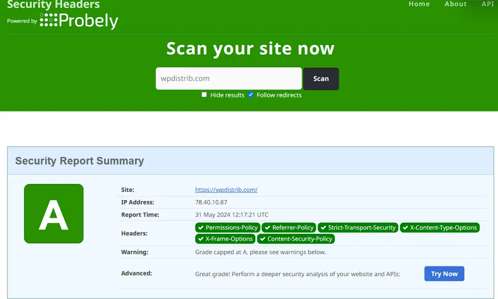 WPDistrib site security report by Probely