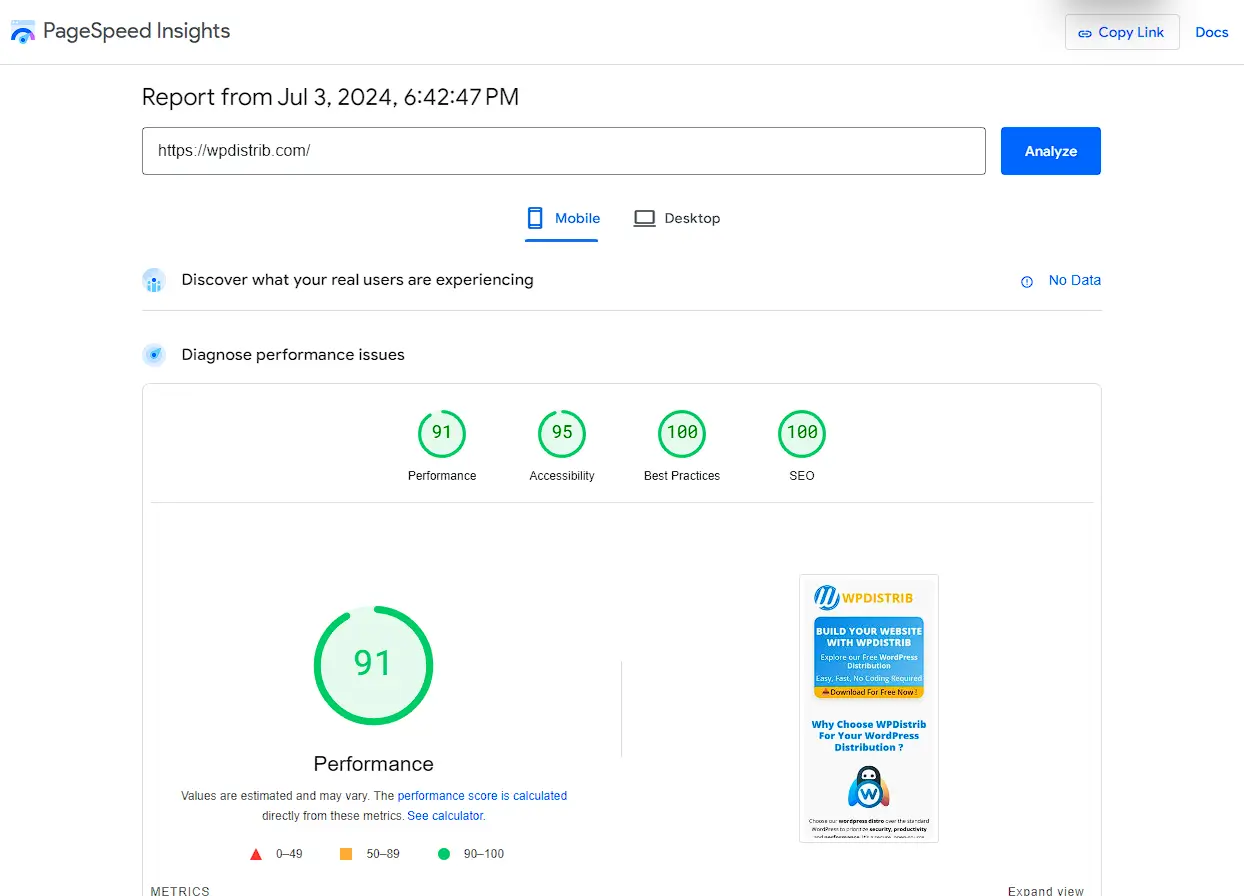 pagespeed insights report wpdistrib site