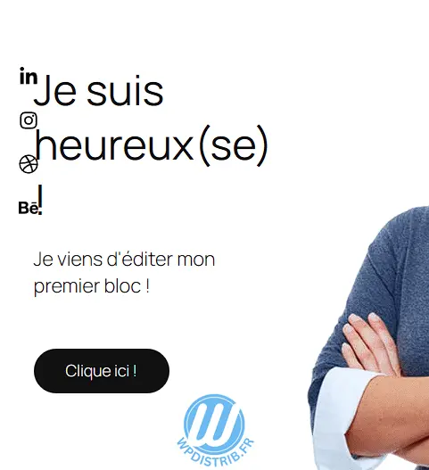 https://wpdistrib.fr/wp-content/uploads/2025/02/WPDISTRIB_Modifier_la_page_-Page_daccueil-_‹_WPDistrib_FR_ftkiU7edyY_481x527.webp