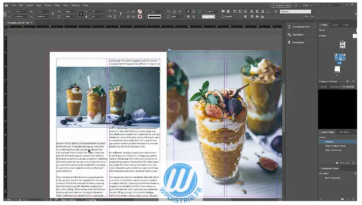 https://wpdistrib.fr/wp-content/uploads/2025/02/WPDISTRIB_adobe_design_magazine_cuisine_-Recherche_Google-_AbJVxkID8v_735x417.webp