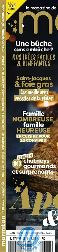 https://wpdistrib.fr/wp-content/uploads/2025/02/WPDISTRIB_cover-big.jpg_700×858_-_Google_Chrome_mpYfG06qS7_199x859.webp